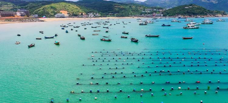 微泮·碧海潮生海景沙滩度假民宿(苍南渔寮景区店)图片
