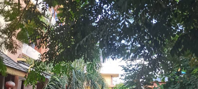 景洪多哩客栈图片