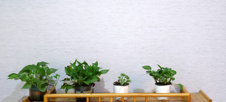 格林豪泰(江阴高铁站梅园大街店)图片