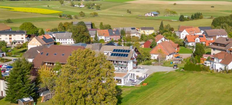 威尔尼斯酒店 Sonnenhof 和 Sonnhalde(Wellnesshotel Sonnenhof & Sonnhalde)图片