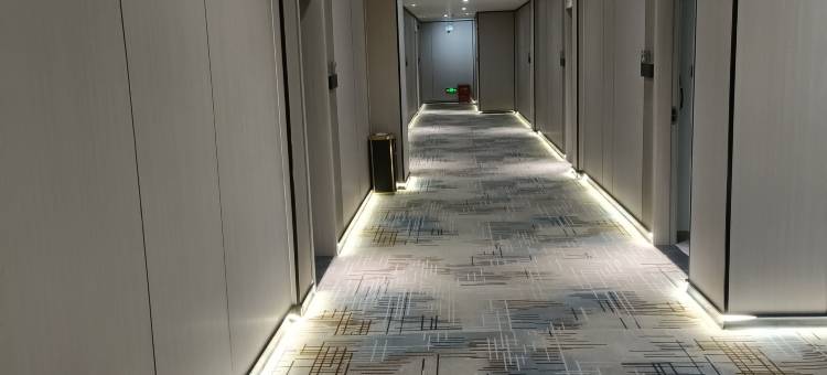 鹿寨宜致智能酒店(柳州鹿寨店)图片