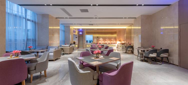 麗枫酒店(佛山丹灶店)图片