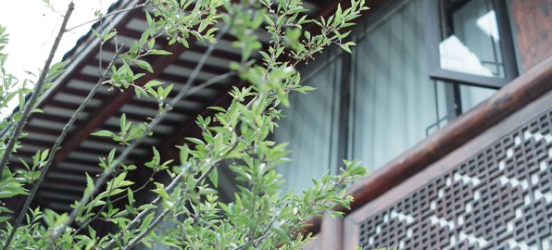 龙里一半小院民宿图片