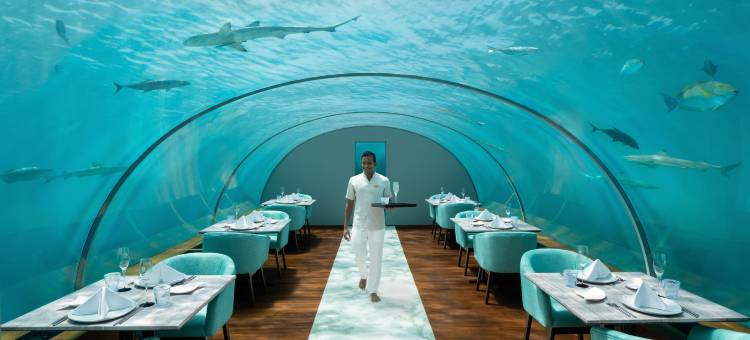 马尔代夫伦格里岛康莱德酒店(Conrad Maldives Rangali Island)图片