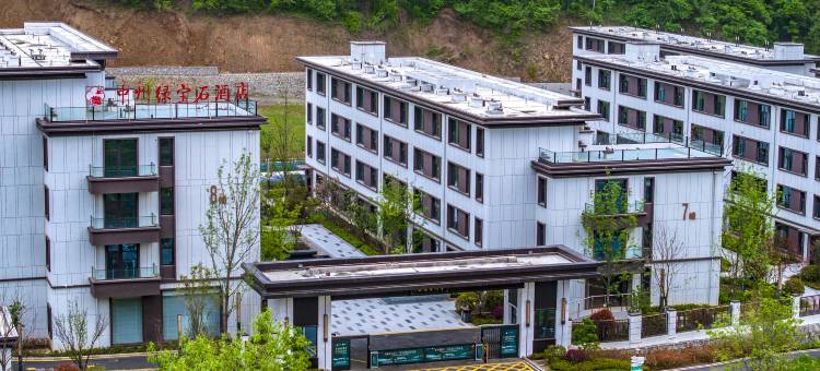 中州绿宝石酒店图片