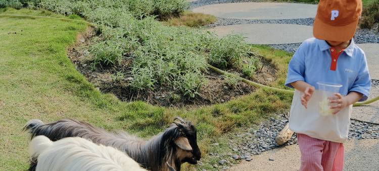 成都温江悦椿酒店图片