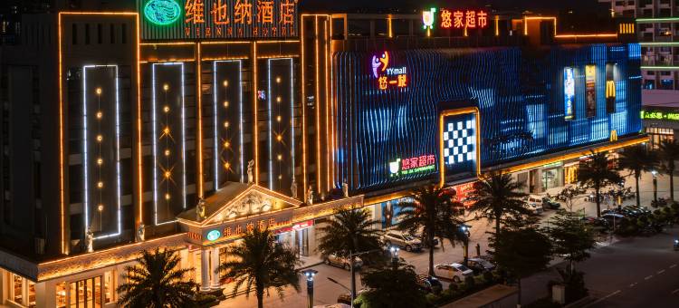 维也纳酒店(丰顺温泉店)图片