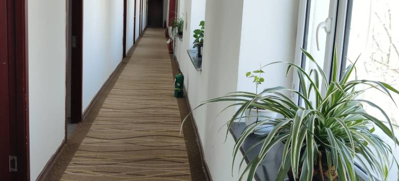 布尔津津湖快捷酒店图片