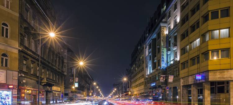 多瑙比斯-匈牙利市中心酒店(Danubius Hotel Hungaria City Center)图片