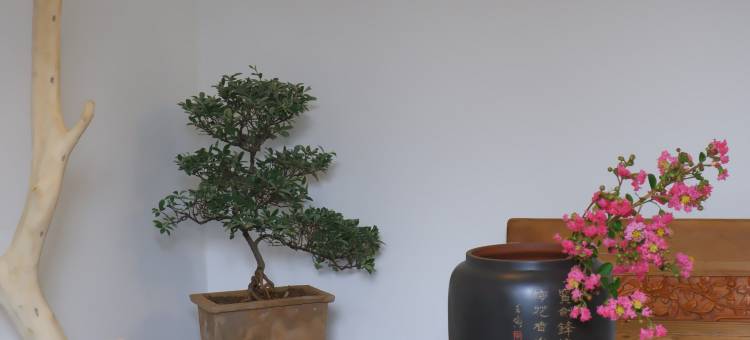 画屏里民宿(石屏古城店)图片