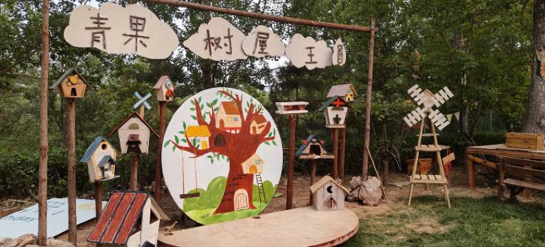 青果树屋营地图片