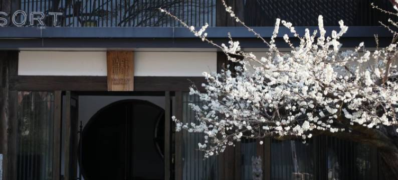 丽江晓驻·匠心雪山景观轻奢客栈图片