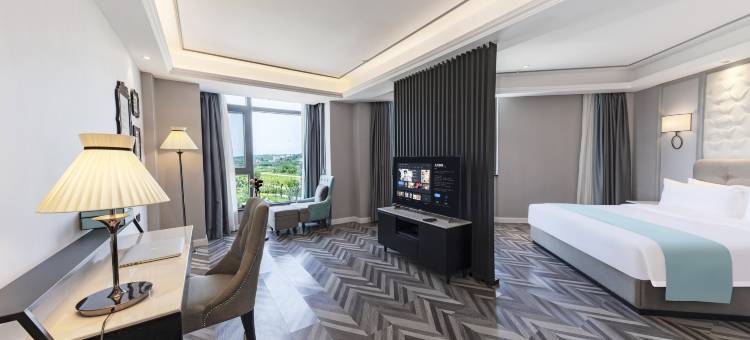 赞硕假日酒店(绵阳西部冷都店)图片