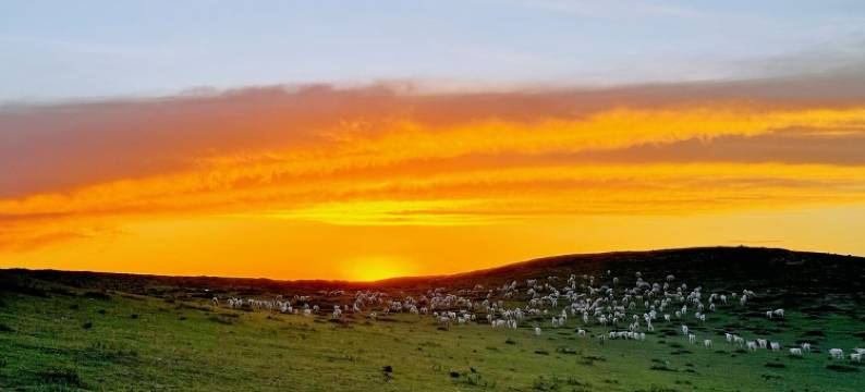 火山御都民宿(乌兰哈达火山地质公园店)图片