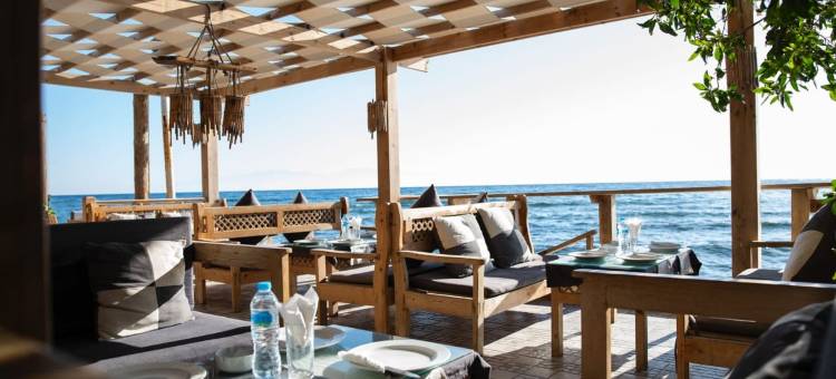 达哈布企鹅村酒店(Penguin Village Dahab)图片