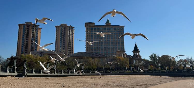 青岛星河湾酒店图片