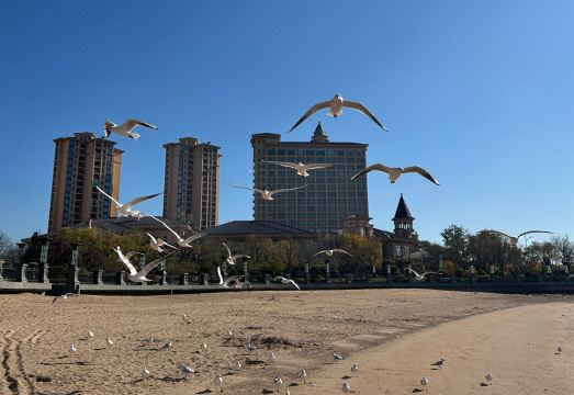 Chateau Star River QingdaoHotel Overview