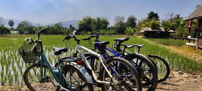 胡安坤考(hueankwankhao)图片