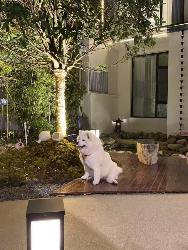 花筑·景德镇棠舍民宿(三宝国际陶艺村店)图片