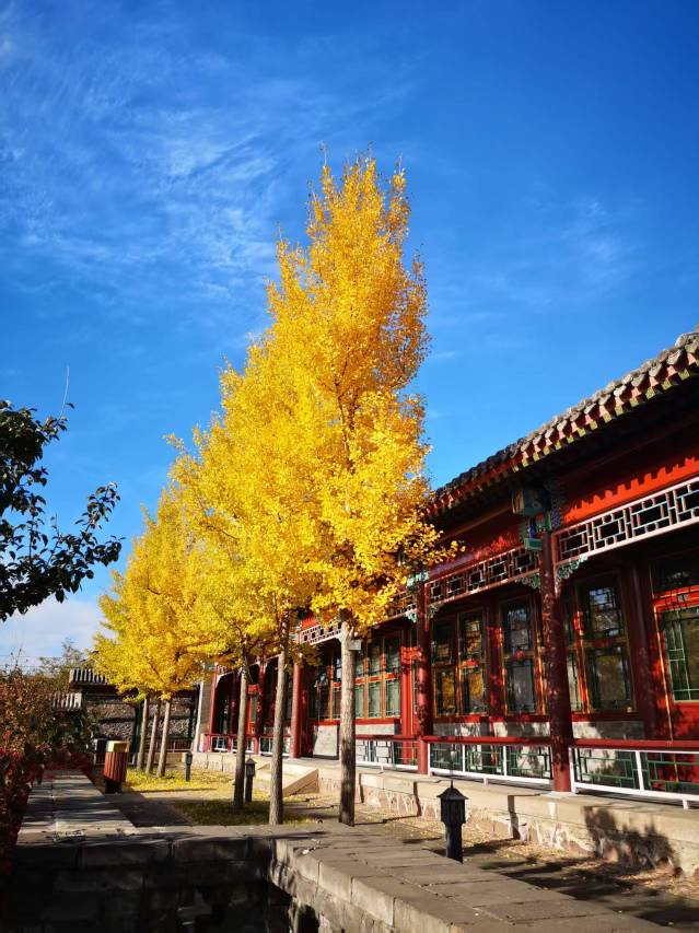 承德绮望楼宾馆图片