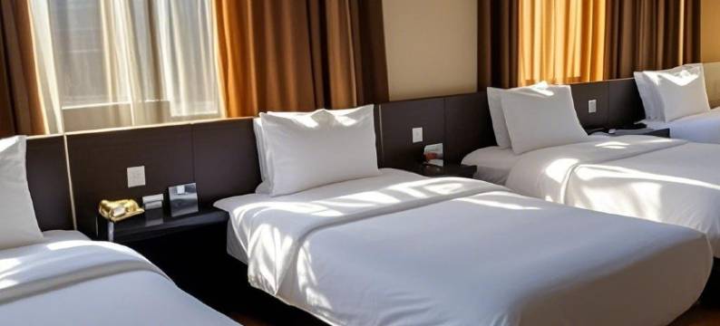 大安飞翔宾馆图片