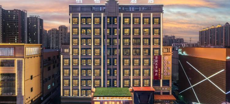 栖梧酒店(佛山金沙洲金铂天地店)图片