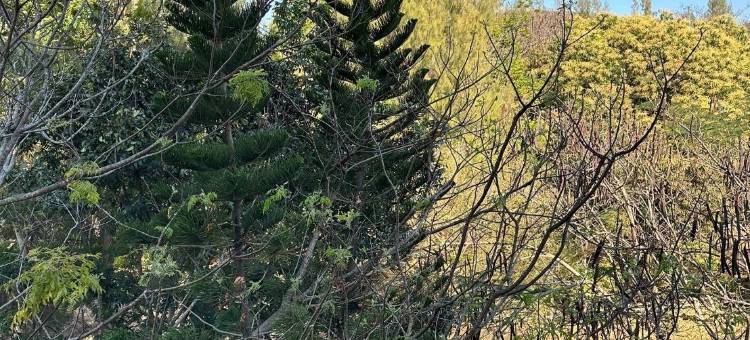 Nature retreat @ Courtyard Khao Yai图片