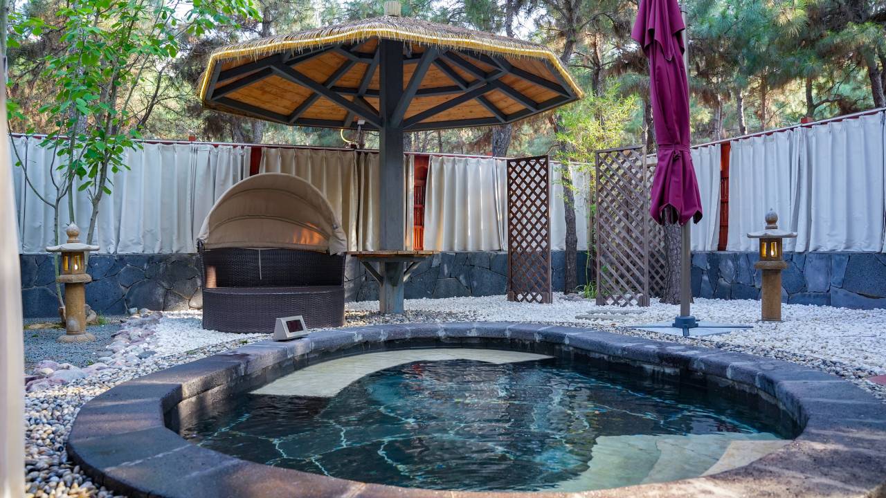 东海森林温泉度假酒店图片