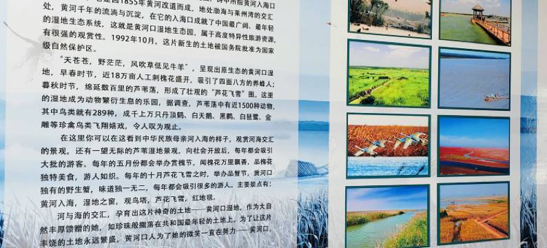 东营滨海缘商务宾馆图片