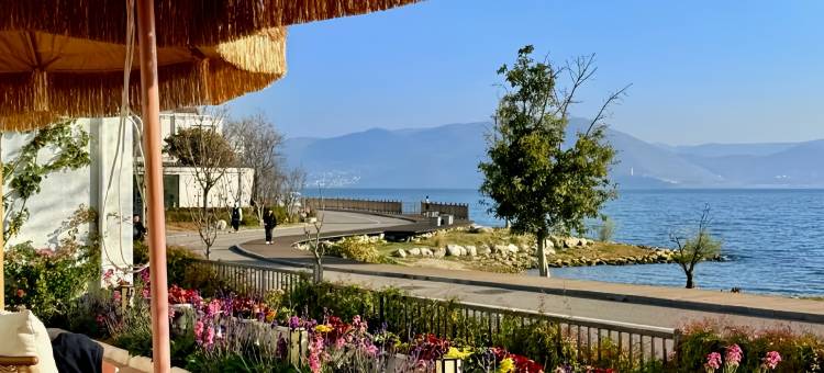 尚诗忆villa·漫步洱海|白族设计师观景民宿(洱海生态廊道店)图片