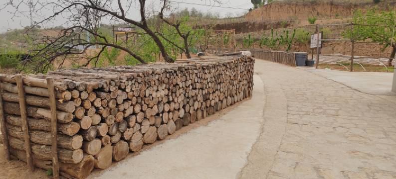 河畔人家民宿图片