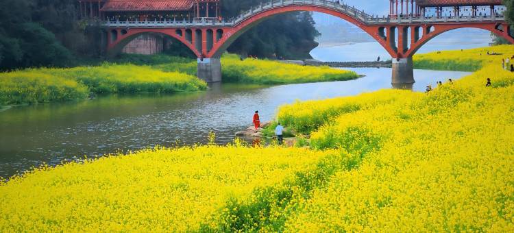 乐山•曼浮•Cinema•ZenCharmChoiceHotel(乐山高铁站世豪广场店)图片