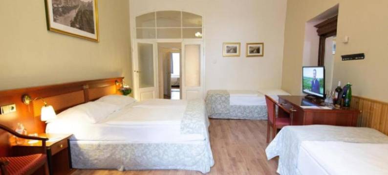 瓦茨拉夫广场酒店(Wenceslas Square Hotel - Czech Leading Hotels)图片