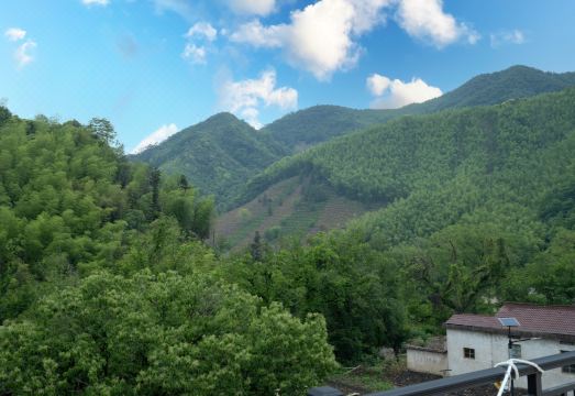 Banshan Du Homestay Hotel Overview