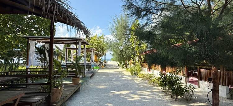 诺亚私人海滩屋(Noah Private Beach House)图片