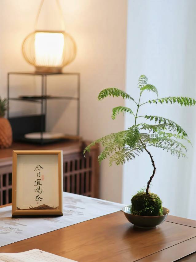 阳朔璞院·VILLA花园星空泳池全景度假酒店图片