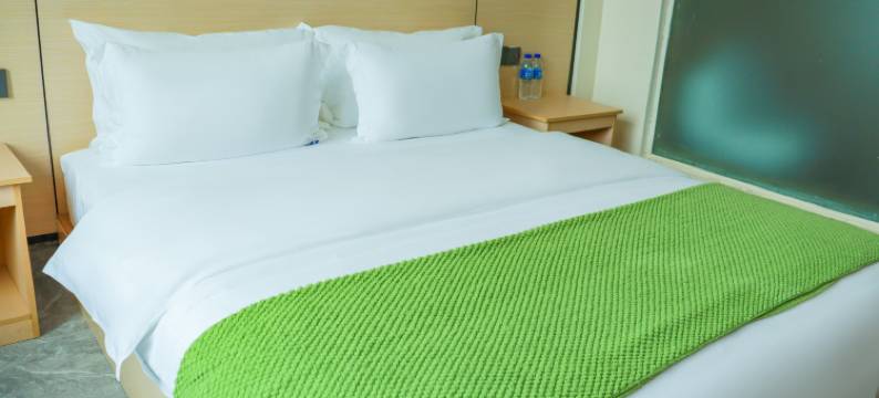 景洪闽江酒店(曼弄枫勐泐大佛寺店)图片