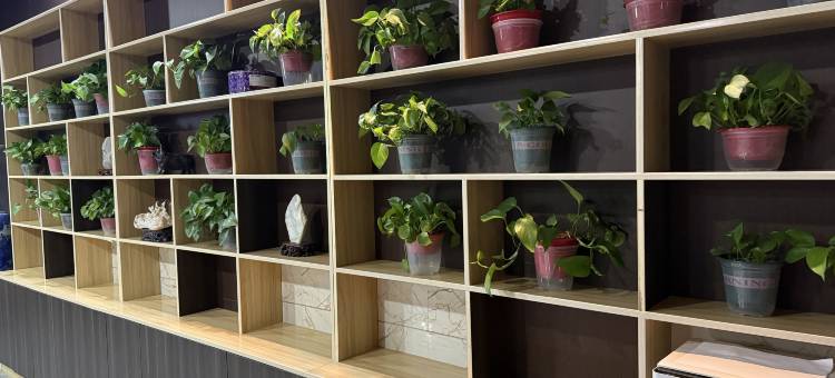 骏怡连锁酒店(格尔木火车站109国道店)图片