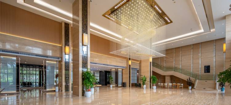 Argyle Grand Hotel雅阁国际大酒店(广州白云国际机场店)图片