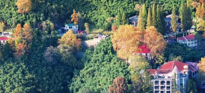 莫干山隐花坞·温泉度假民宿图片