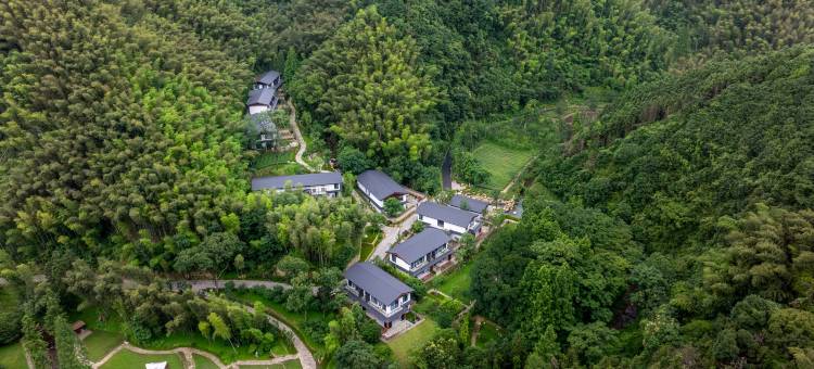 婺州安脚雷迪森庄园图片