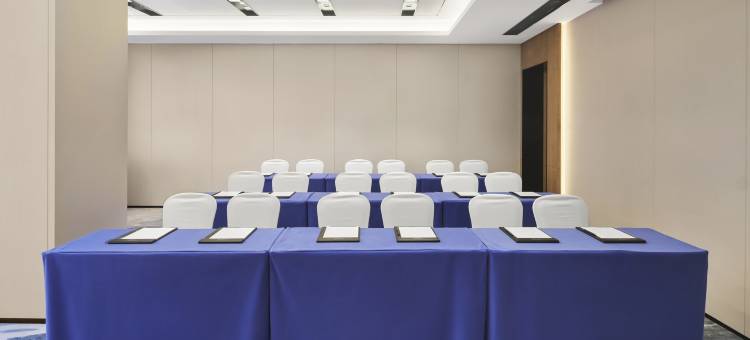 广州花都万豪万枫酒店图片