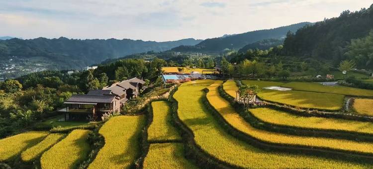 携程度假农庄(张家界缦心联营店)图片