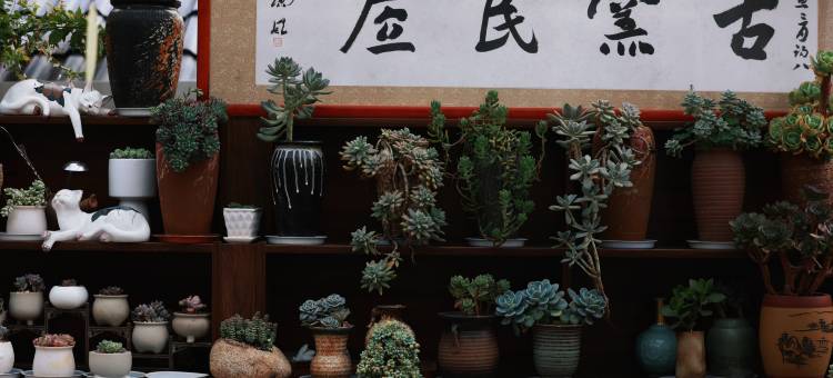 古窑民居(上饶三清山机场店)图片