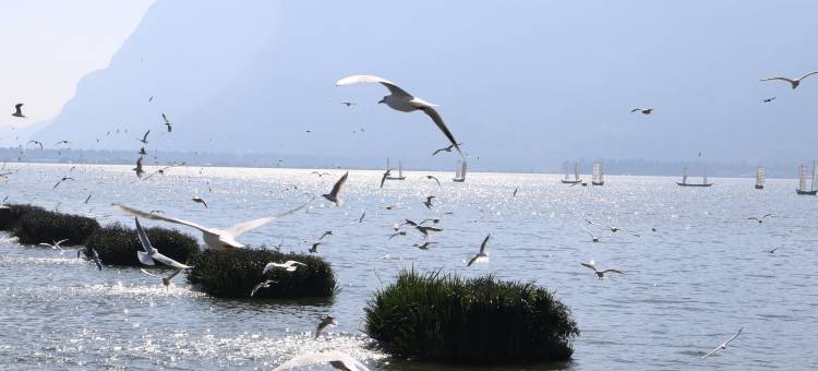 昆明洲际酒店图片