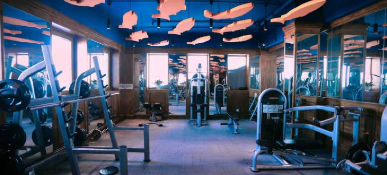 嘉荫商务酒店图片