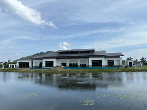 The Mangrove at Carey Circles
