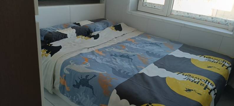 腾湖生态度假渔庄民宿(查干湖店)图片