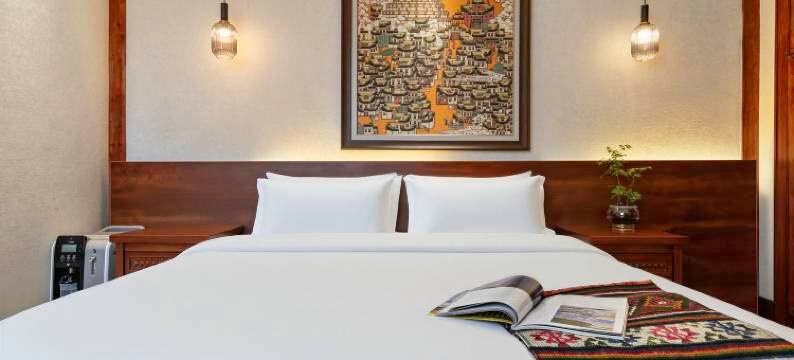 拉萨八廓街德康富氧观景酒店(大昭寺店)图片