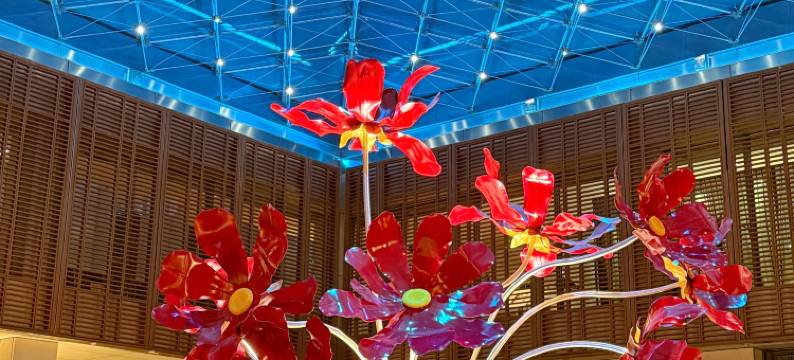 北京金融街丽思卡尔顿酒店图片